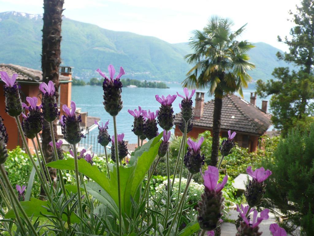 Casa Eva Appartement Ronco sopra Ascona Buitenkant foto